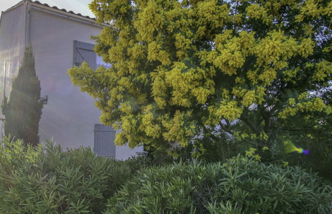 Apartamento de 2 quartos em Sanary-sur-Mer com jardim e terraço - Foto 16