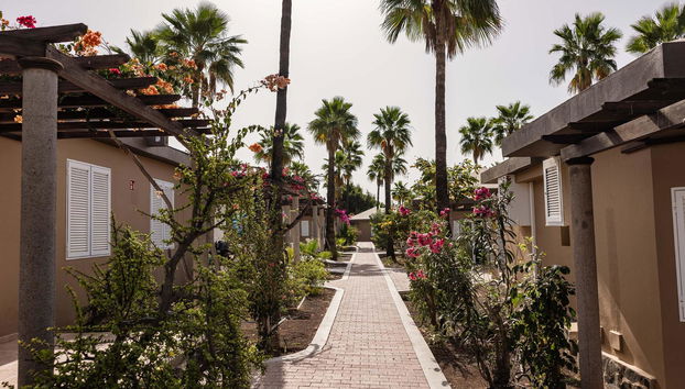 Caybeach Princess - Foto 4