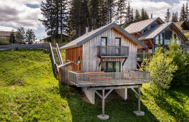 Casa de 4 quartos em Bad Sankt Leonhard im Lavanttal com jardim e terraço - Foto 6