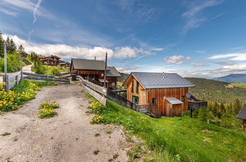 Foto 50 - Casa de 4 quartos em Bad Sankt Leonhard im Lavanttal com jardim e terraço