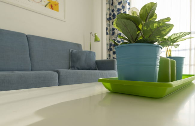 Apartamento de 1 quarto em Santo Stefano al Mare - Foto 10