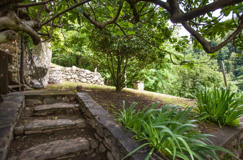 Photo 23 - Maison de 1 chambre à Ardenno avec jardin et terrasse