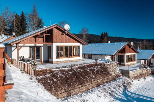 Photo 22 - Maison de 2 chambres à Lipno nad Vltavou avec jardin et terrasse