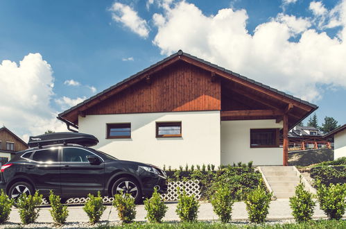 Foto 17 - Casa con 2 camere da letto a Lipno nad Vltavou con giardino e terrazza