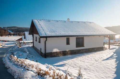 Foto 23 - Casa de 2 quartos em Lipno nad Vltavou com jardim e terraço