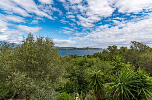 Foto 1 - Casa con 2 camere da letto a Porto-Vecchio con giardino e terrazza