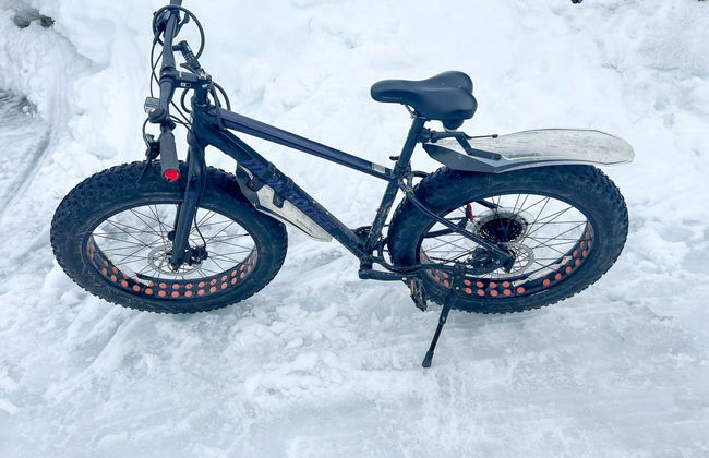 Haus mit 2 Schlafzimmern in Enontekiö - Foto 43