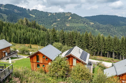 Foto 63 - Casa de 2 quartos em Bad Sankt Leonhard im Lavanttal com jardim e terraço