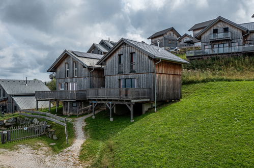 Foto 62 - Casa de 2 quartos em Bad Sankt Leonhard im Lavanttal com jardim e terraço