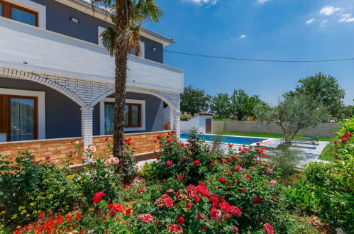 Photo 6 - Maison de 4 chambres à Svetvinčenat avec piscine privée et vues à la mer