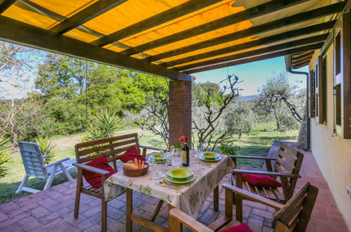 Photo 1 - House in Guardistallo with garden and terrace