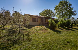 Photo 3 - Maison en Guardistallo avec jardin et vues à la mer