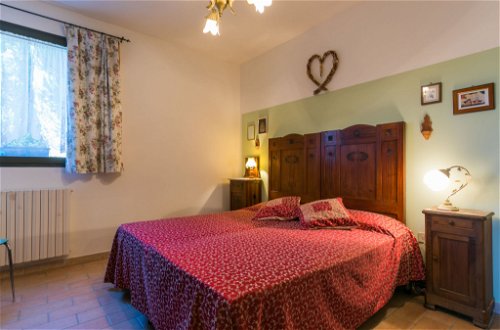 Foto 11 - Appartamento con 2 camere da letto a Bibbona con giardino e vista mare