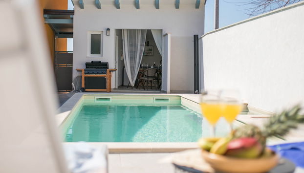 Haus mit 3 Schlafzimmern in Brtonigla mit privater pool und terrasse - Foto 2