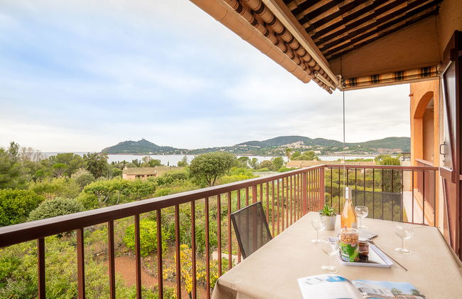 1 bedroom Apartment in Saint-Raphaël with swimming pool and terrace - Photo 16