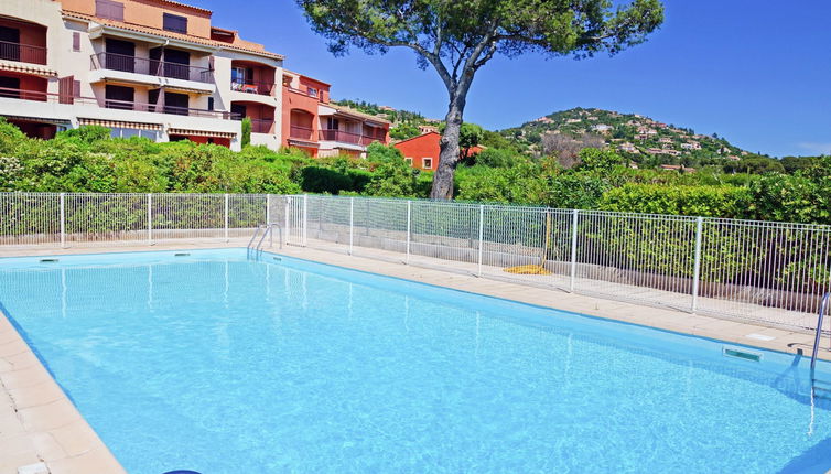 Foto 1 - Apartamento en Saint-Raphaël con piscina y terraza