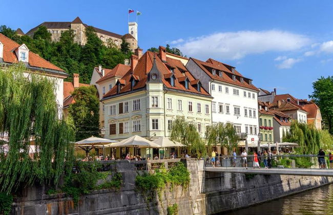 Private Full Day Tour to Ljubljana City from Portorož/Piran - Foto 7