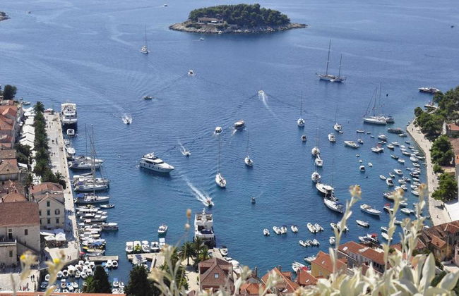 Tour privato a piedi di Hvar con partenza da Hvar - Foto 2