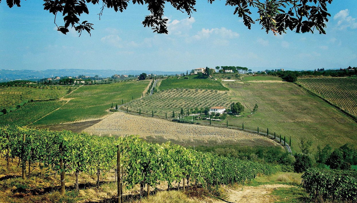 Poderi Arcangelo Agriturismo Farmhouse - Photo 1