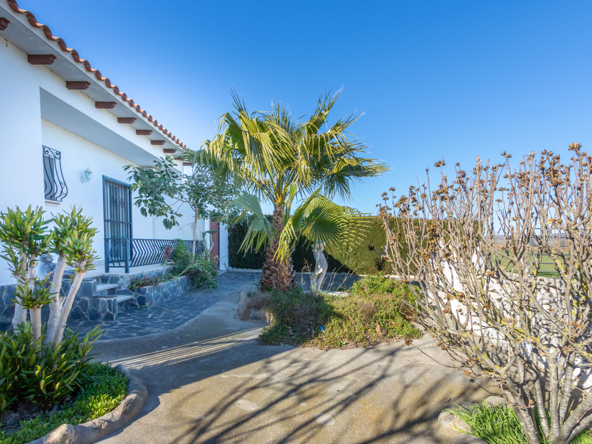 Foto 30 - Casa de 3 quartos em Castelló d'Empúries com piscina privada e jardim