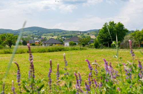 Foto 19 - Haus mit 2 Schlafzimmern in Ábrahámhegy mit privater pool und blick auf die berge