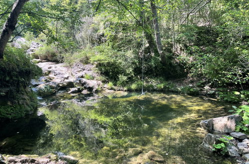 Foto 31 - Appartamento con 2 camere da letto a Prelà con piscina e terrazza