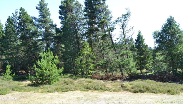 Casa de 2 quartos em Rømø - Foto 4