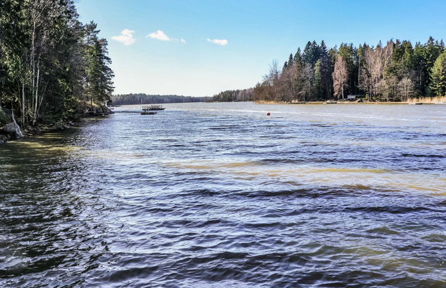 Pippuriranta - Photo 29