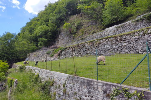 Photo 35 - Maison de 2 chambres à Porlezza avec piscine et vues sur la montagne