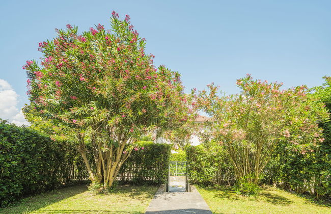 Casa de 3 quartos em Ameglia com jardim e terraço - Foto 33