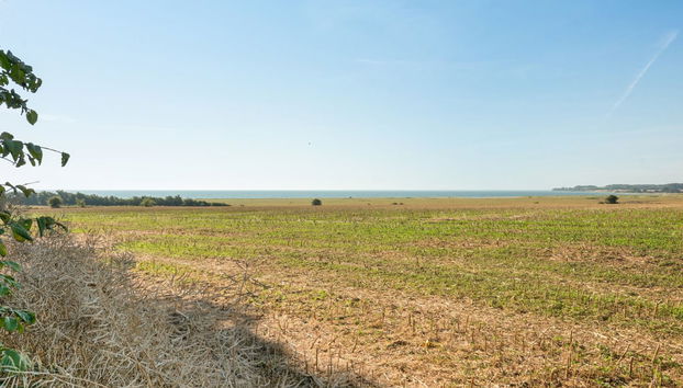 Maison de 3 chambres à Flovt Strand avec sauna - Photo 3