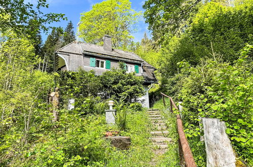 Photo 14 - Maison de 3 chambres à Hinterzarten avec jardin