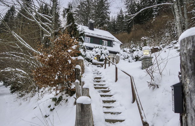 Casa de 4 quartos em Hinterzarten com jardim - Foto 23