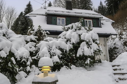 Photo 29 - Maison de 3 chambres à Hinterzarten avec jardin et vues sur la montagne