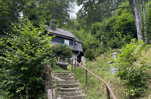 Foto 23 - Casa con 3 camere da letto a Hinterzarten con giardino e vista sulle montagne