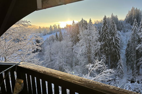 Foto 35 - Casa con 3 camere da letto a Hinterzarten con giardino e vista sulle montagne