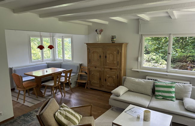 Casa de 4 quartos em Hinterzarten com jardim - Foto 7