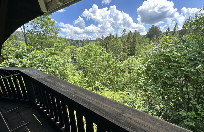 Casa de 4 quartos em Hinterzarten com jardim - Foto 21