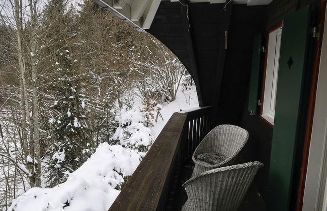 Casa de 4 quartos em Hinterzarten com jardim - Foto 22