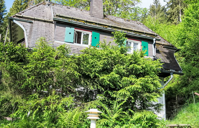 Casa de 4 quartos em Hinterzarten com jardim - Foto 15