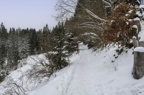 Photo 30 - Maison de 3 chambres à Hinterzarten avec jardin et vues sur la montagne