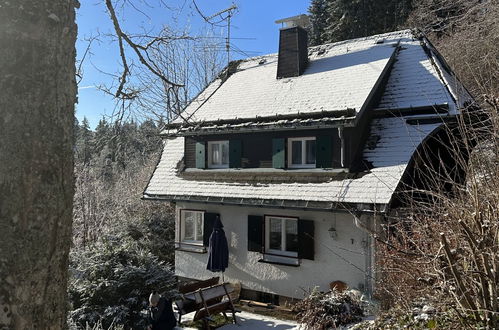 Photo 26 - Maison de 3 chambres à Hinterzarten avec jardin et vues sur la montagne