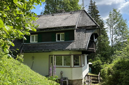 Foto 1 - Casa de 3 quartos em Hinterzarten com jardim e vista para a montanha