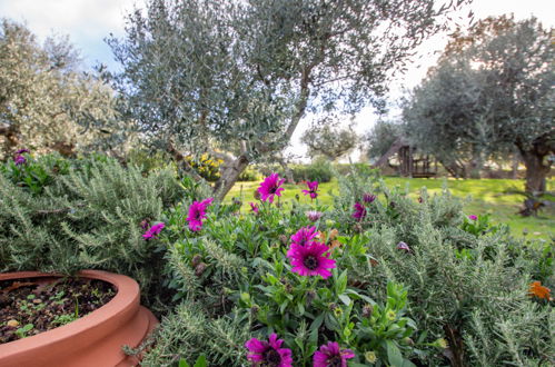 Photo 31 - 3 bedroom House in Collecorvino with garden and terrace