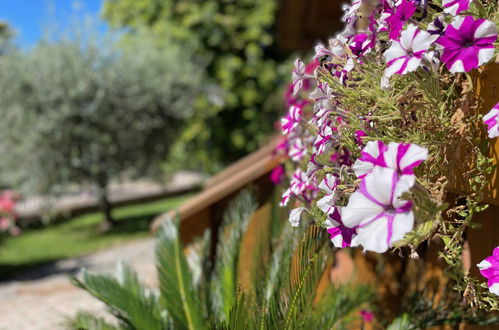 Foto 17 - Casa con 3 camere da letto a Perugia con piscina privata e giardino