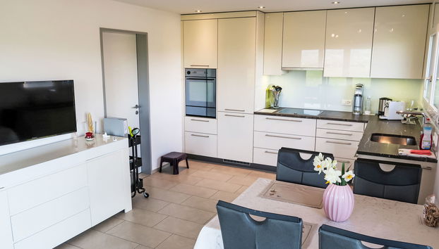Apartment mit 2 Schlafzimmern in Reichenburg mit garten und terrasse - Foto 3
