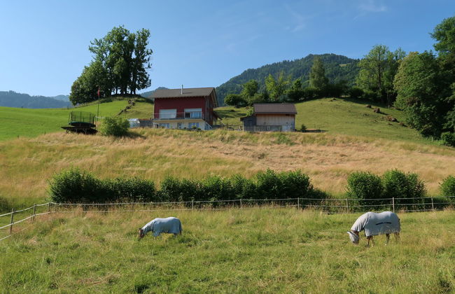 2 bedroom Apartment in Reichenburg with garden and terrace - Photo 1