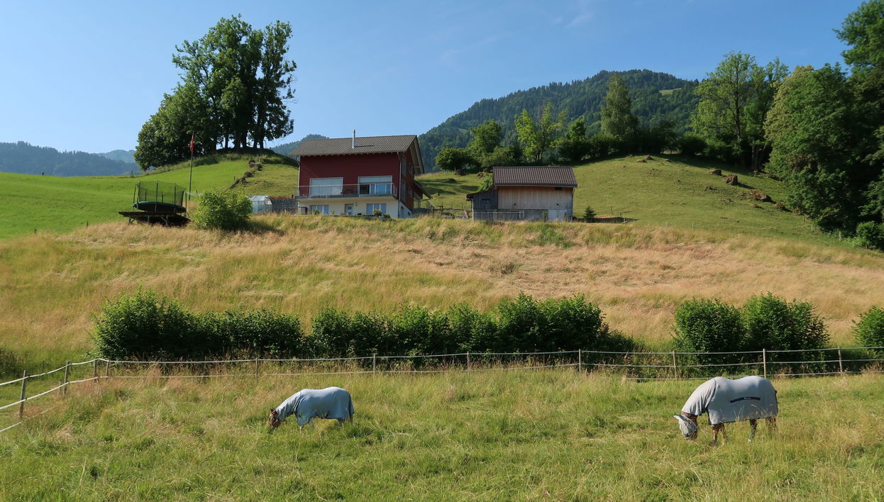 Apartment mit 2 Schlafzimmern in Reichenburg mit garten und terrasse - Foto 1