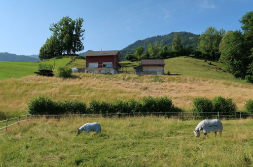 Foto 1 - Apartamento de 1 habitación en Reichenburg con terraza y vistas a la montaña