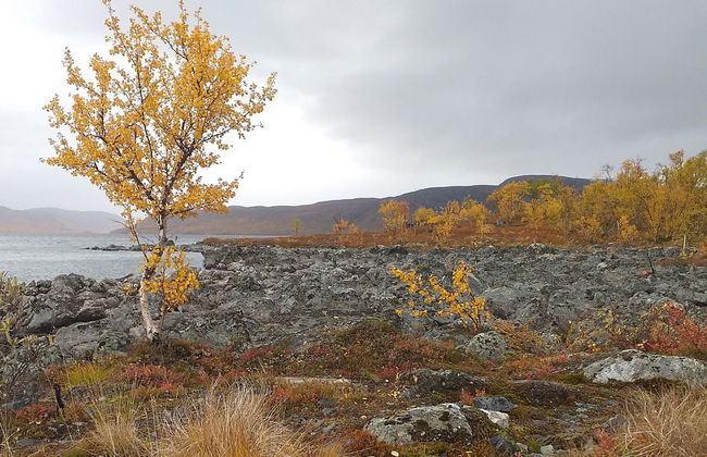 Haus mit 2 Schlafzimmern in Enontekiö - Foto 24